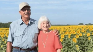 Farmer surprises wife with 80 acres of sunflowers for 50th wedding anniversary